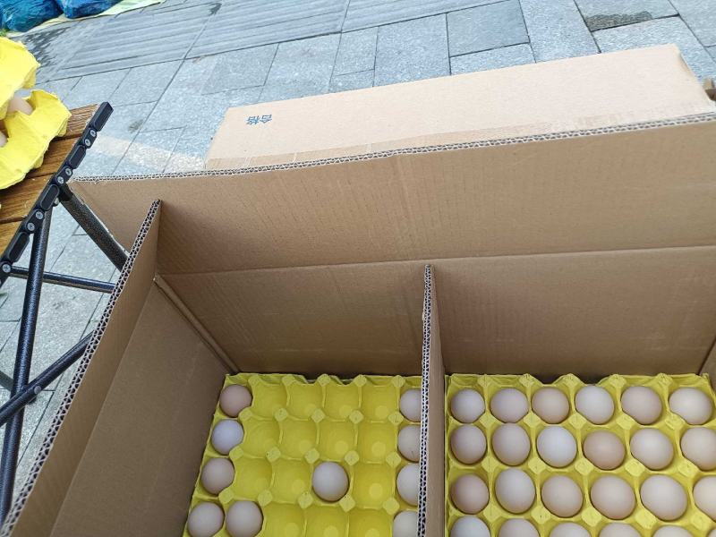 农村绿壳乌鸡蛋粉壳笨鸡蛋