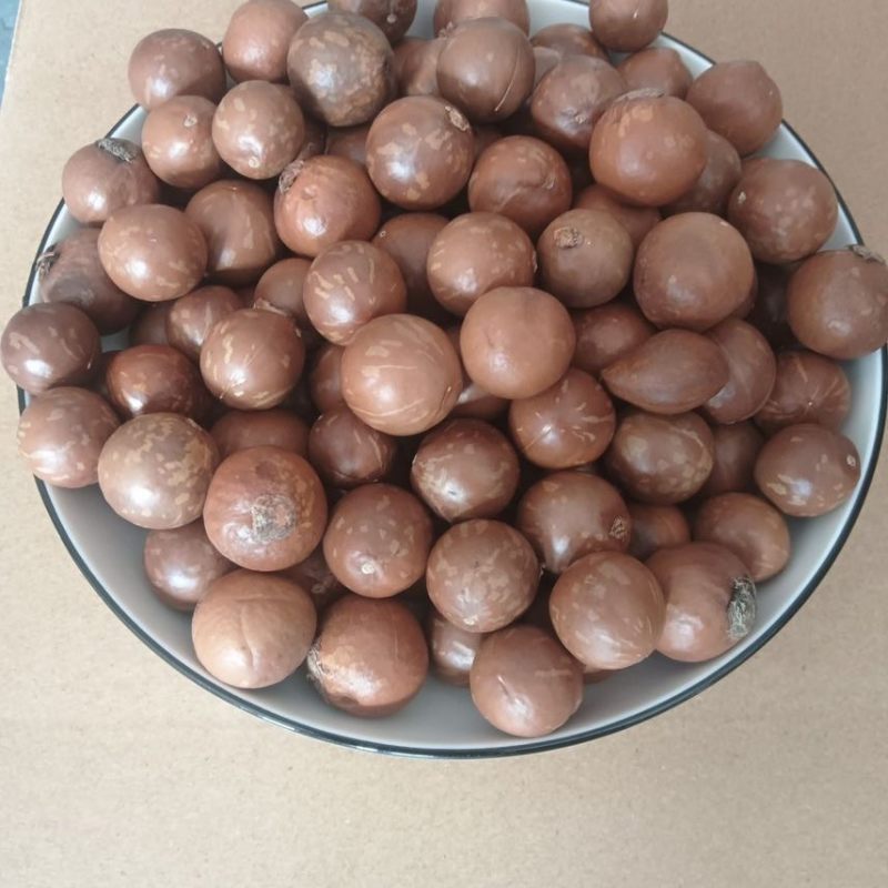夏威夷果电商一件代发有量你就来