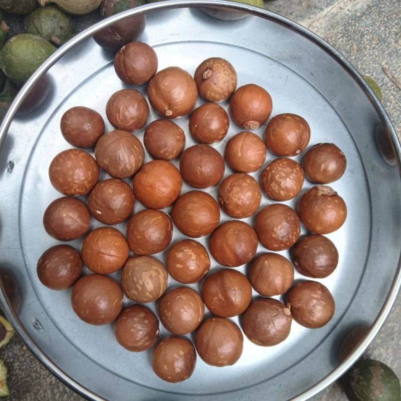 夏威夷果电商一件代发有量你就来