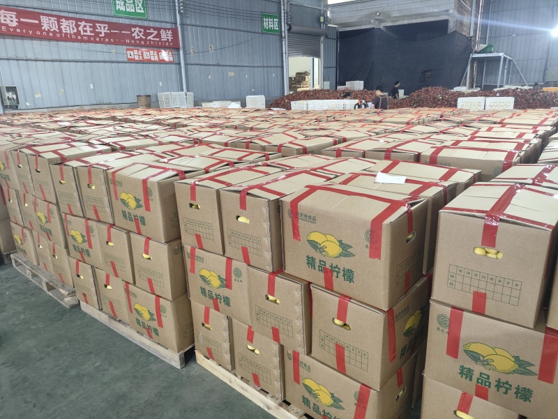 安岳柠檬，尤力克柠檬，产地直发，一手供应，货源稳定
