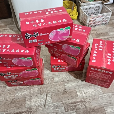 陕西省渭南市白水红富士
