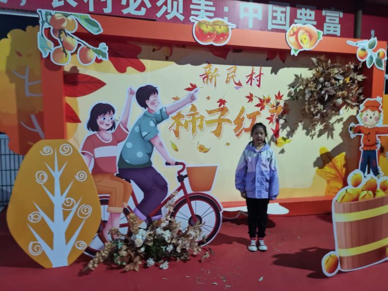 新民柿饼