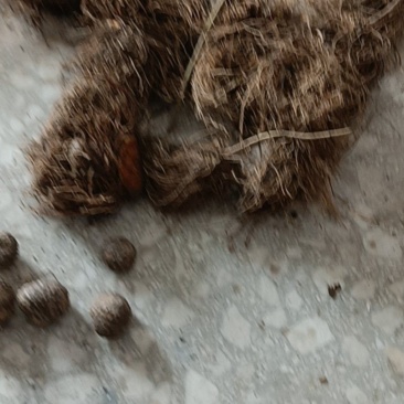 江西省宜春市万载县黄茅