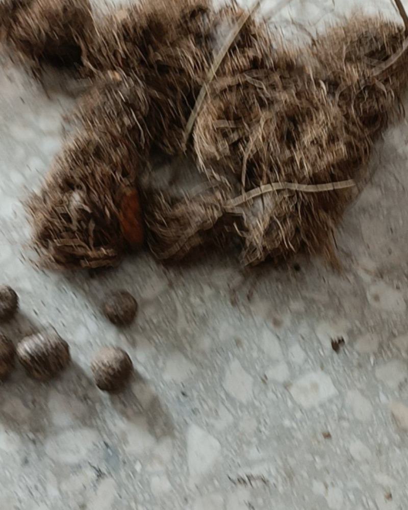江西省宜春市万载县黄茅