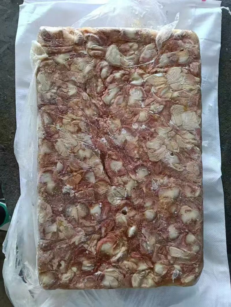 老母鸡鸡胗山东厂家直销价格实惠品质保证