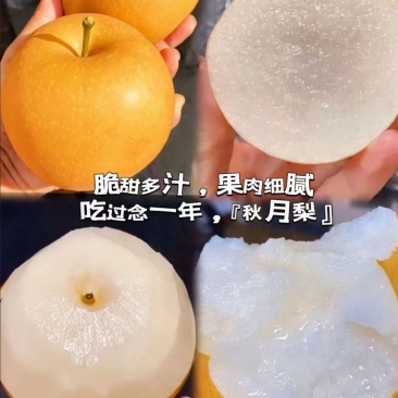 秋月梨