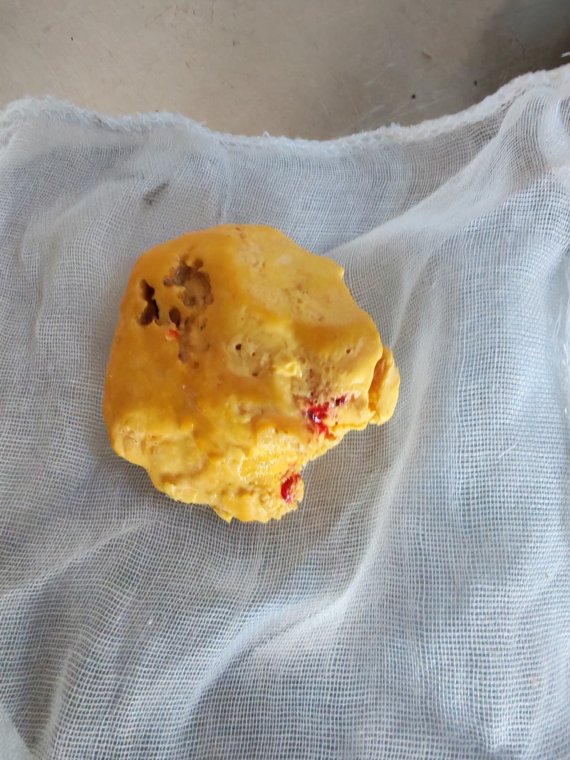 鸡黄，鸡宝