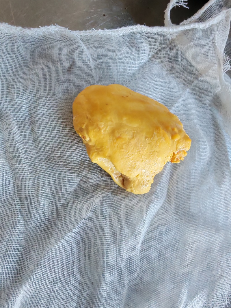鸡黄，鸡宝