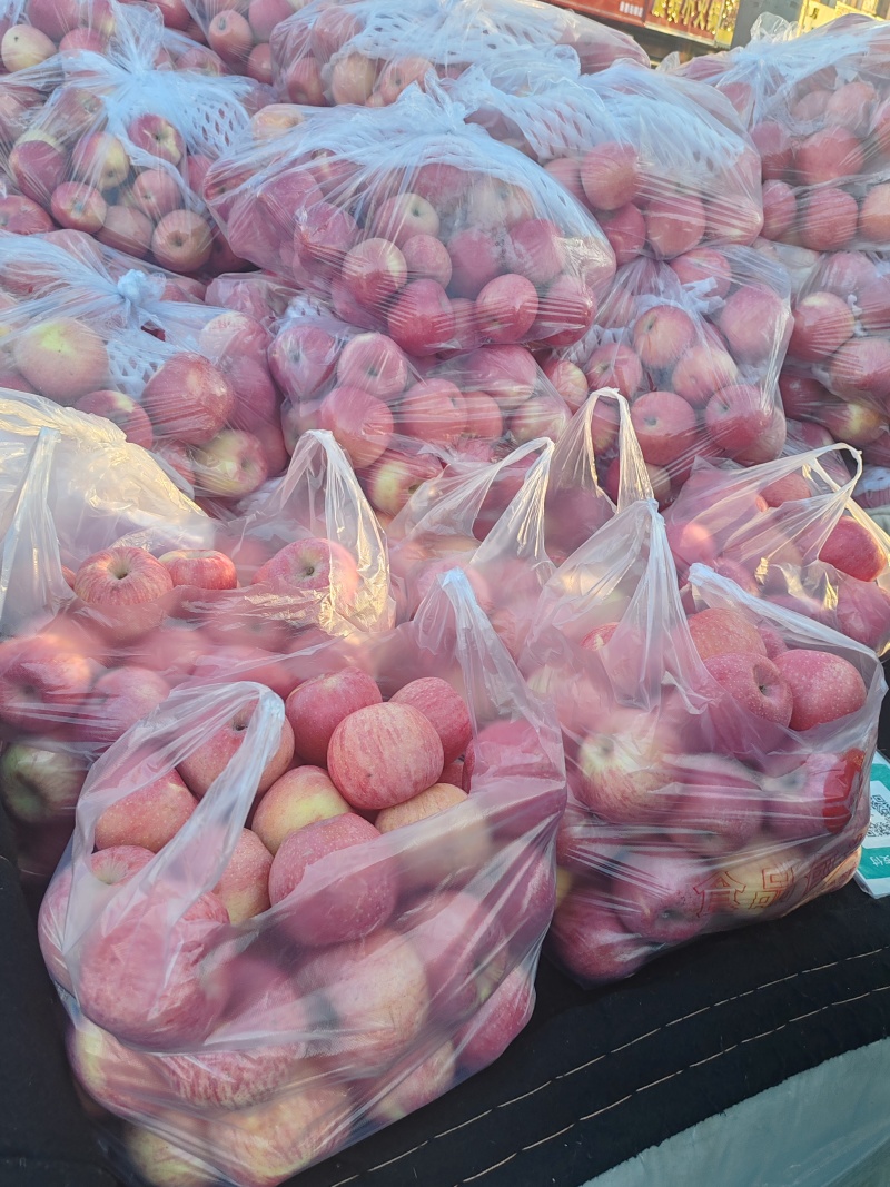 宁夏红富士苹果