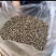 金沙牛，地牯牛