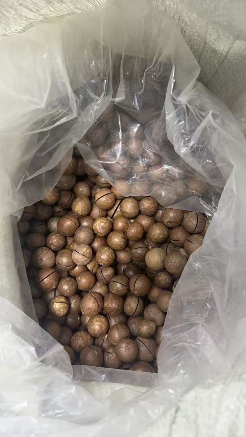 夏果爆发期冲就行了-现货2000吨-只要你有量价格你来定
