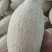 贵族南瓜（丑瓜）