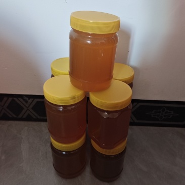 正宗的土蜂蜜