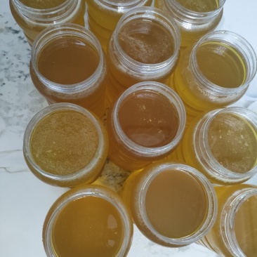 蜂蜜，自然之赐，健康之选。来自大自然的甜蜜诱惑，
