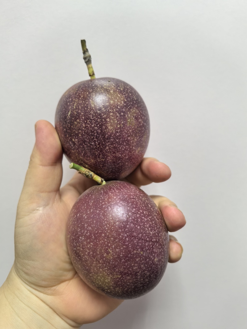 钦（亲）密88号百香果，果大味美