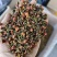 精品昆仑雪菊今年新货