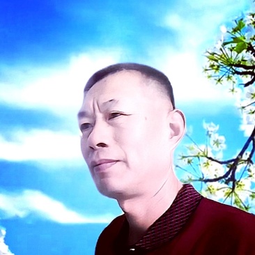 鲜猪皮
