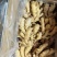 山东省临沂沂水优质小黄姜