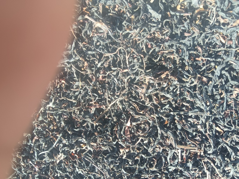 野生红茶