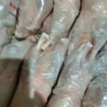 一级白条鸭1400克的今年4月份的货河北提
