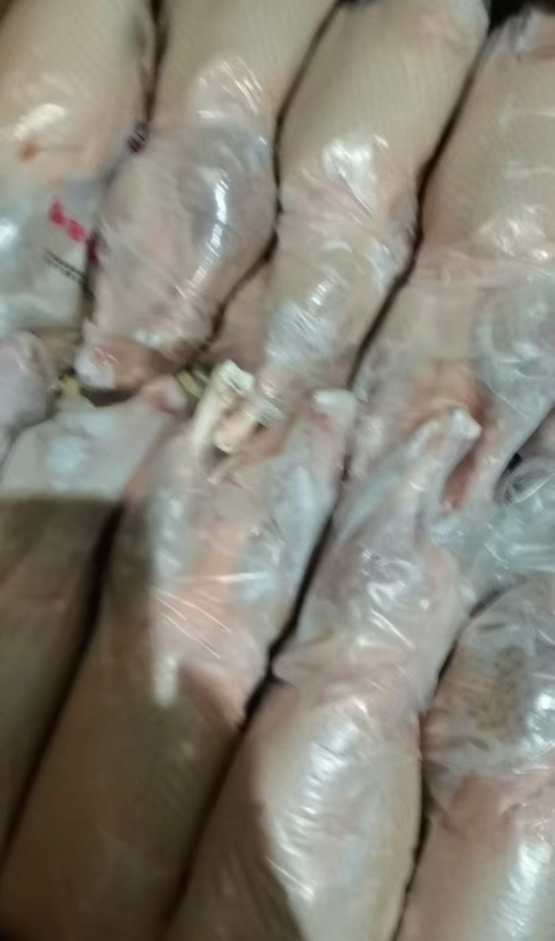 一级白条鸭1400克的今年4月份的货河北提
