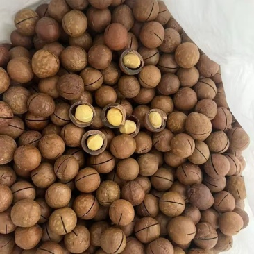 保品质，卷价格，一手货源的重要性