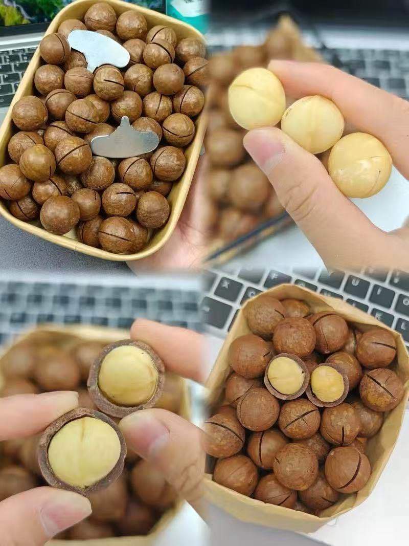 夏威夷果量大优惠，批发，可代发