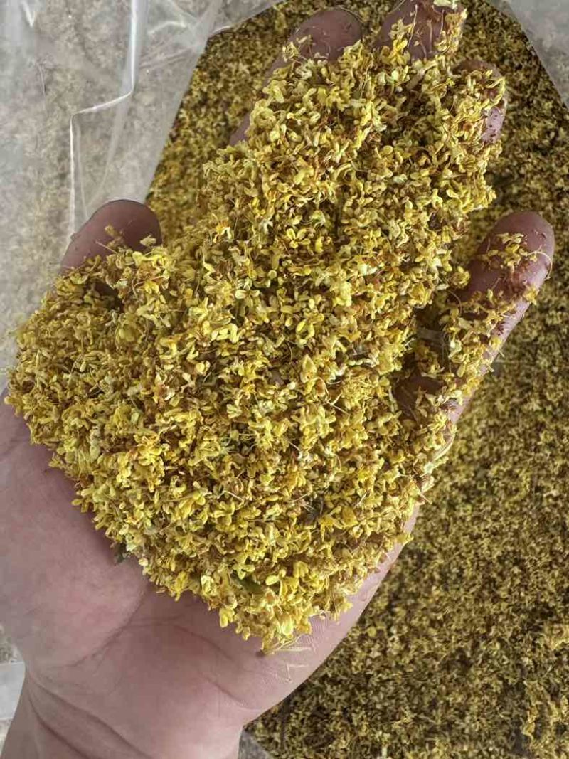 桂花干批发厂家直销