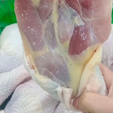 种鸡排腿山东厂家直销质量保证售后无忧