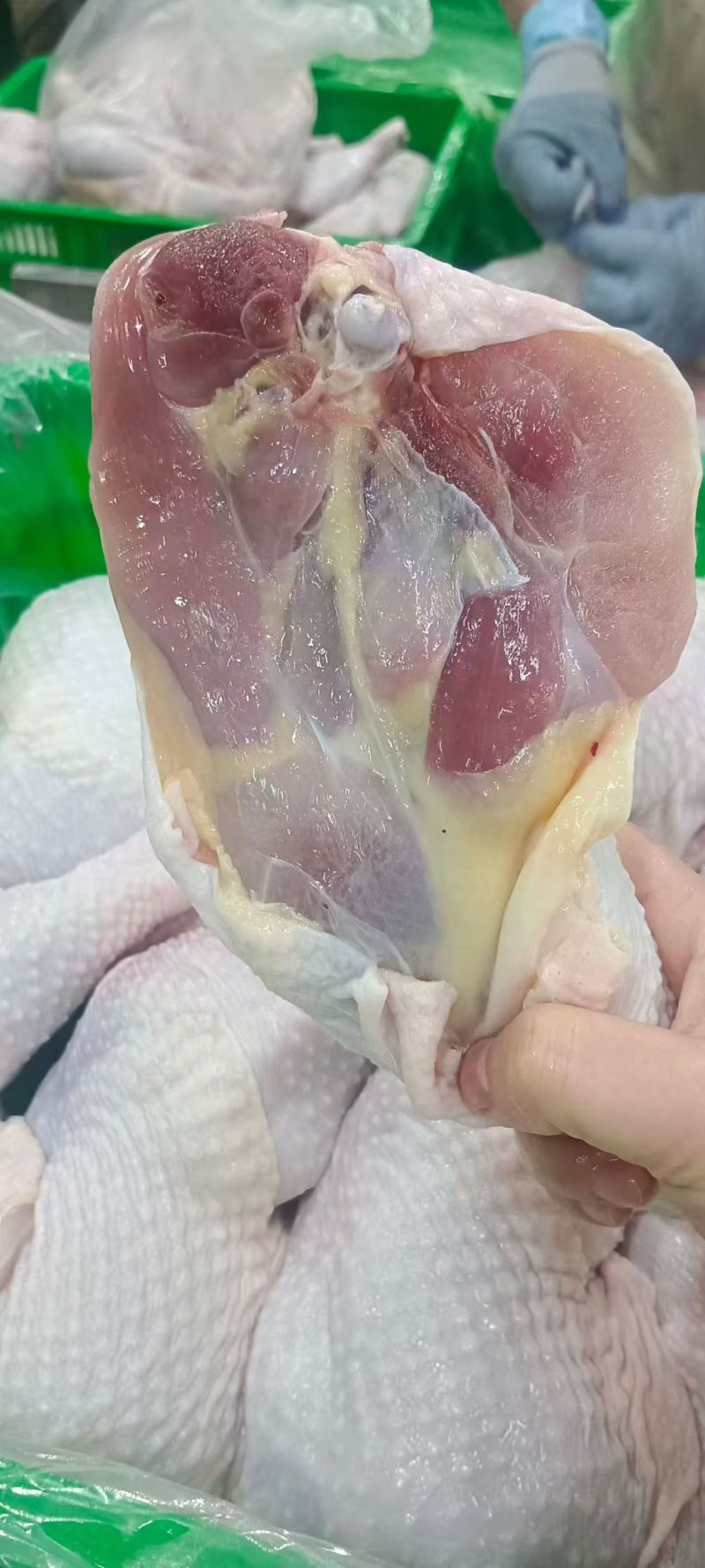 种鸡排腿山东厂家直销质量保证售后无忧