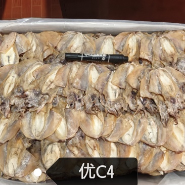 浙江本港小墨鱼干，头数齐全，品质优良。