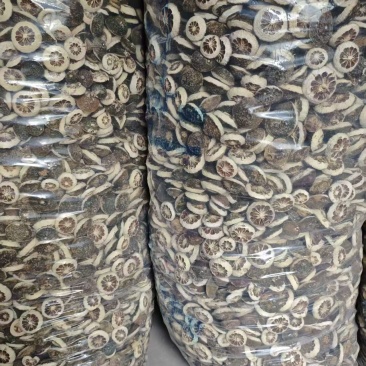 中药材（枳壳）