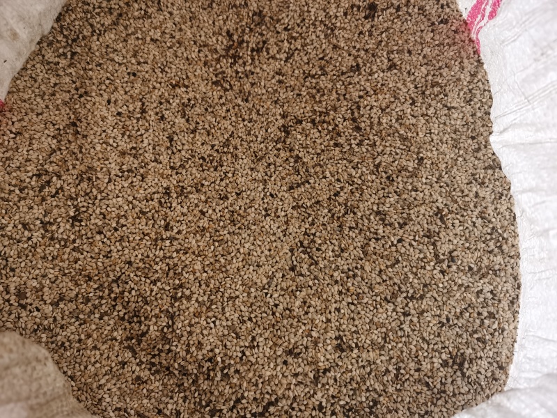 白芝麻100斤，品质优