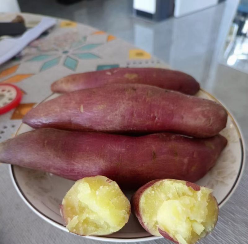 大量出售怀来沙地红薯🍠电话***********
