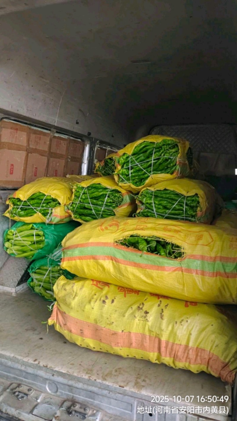 各种辣椒大量上市
