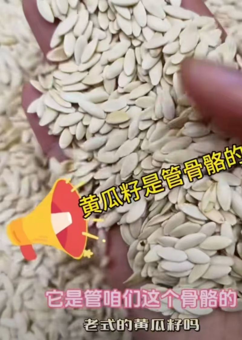 卖黄瓜籽