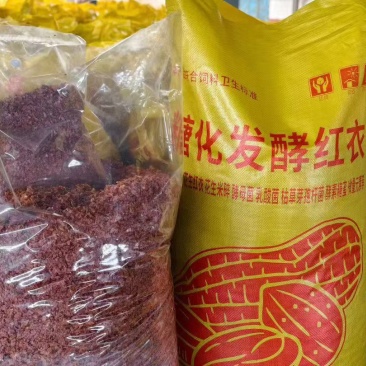 发酵红衣