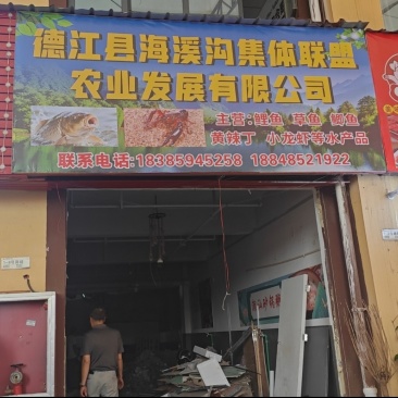 鲤鱼，草鱼