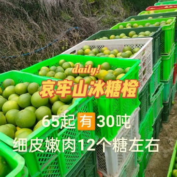 云南哀牢山冰糖橙