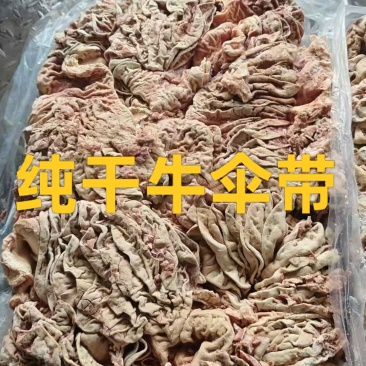 纯干牛伞带