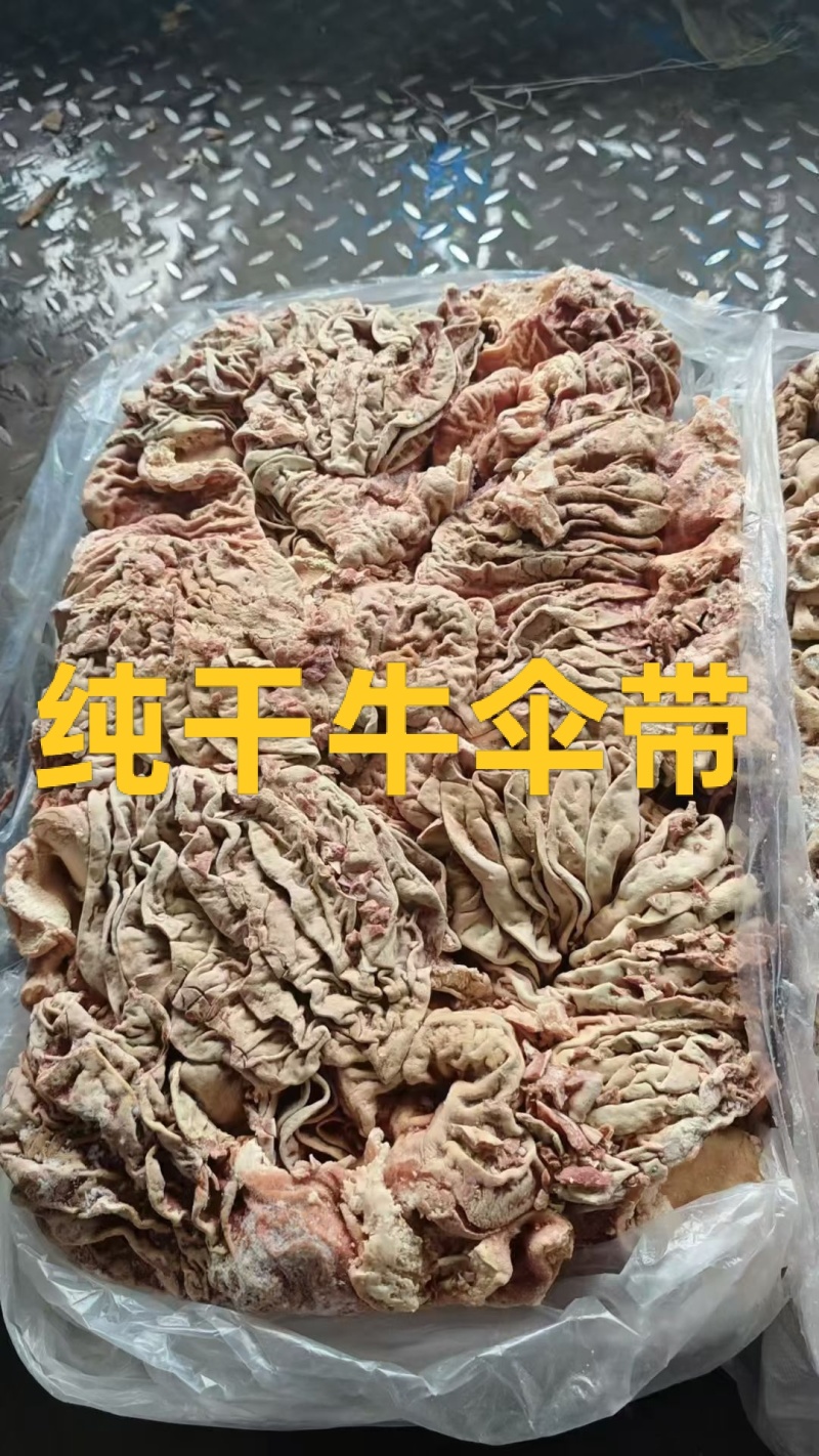 纯干牛伞带