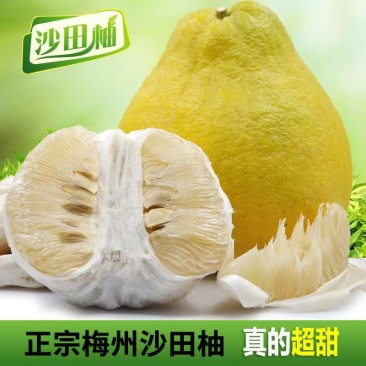 桃尧沙田柚