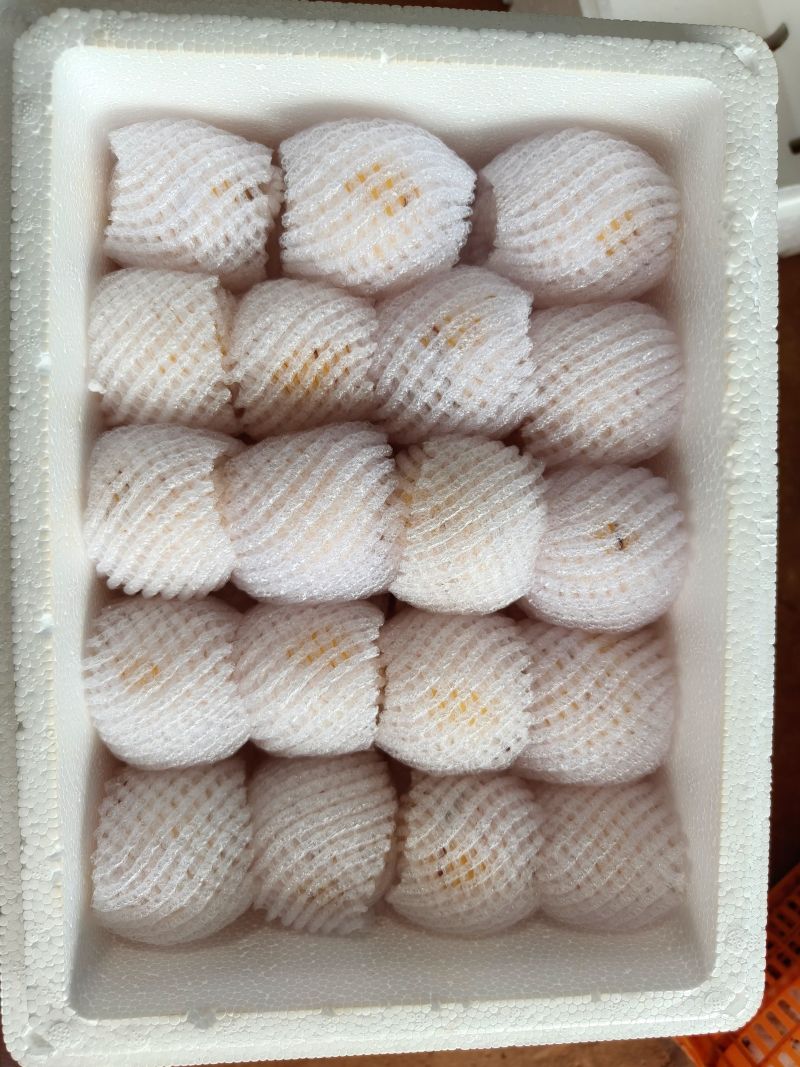 货源充足，代发