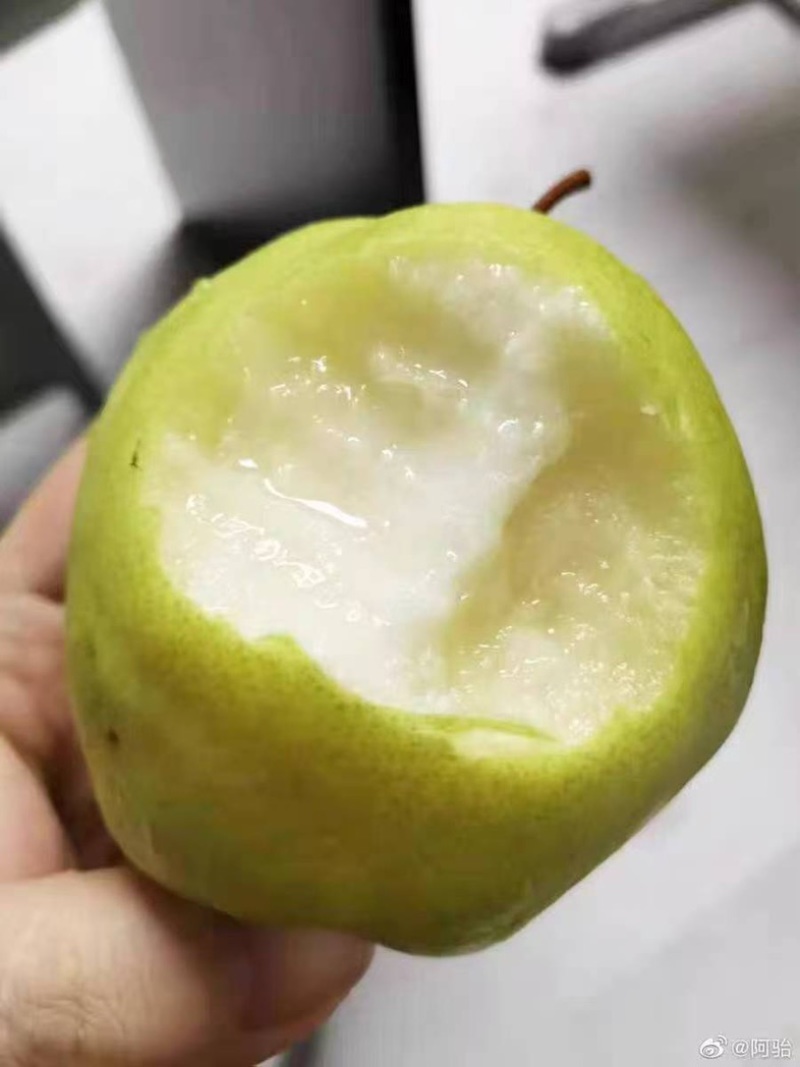 隰县玉露香梨