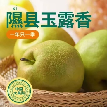 隰县玉露香梨