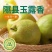 隰县玉露香梨