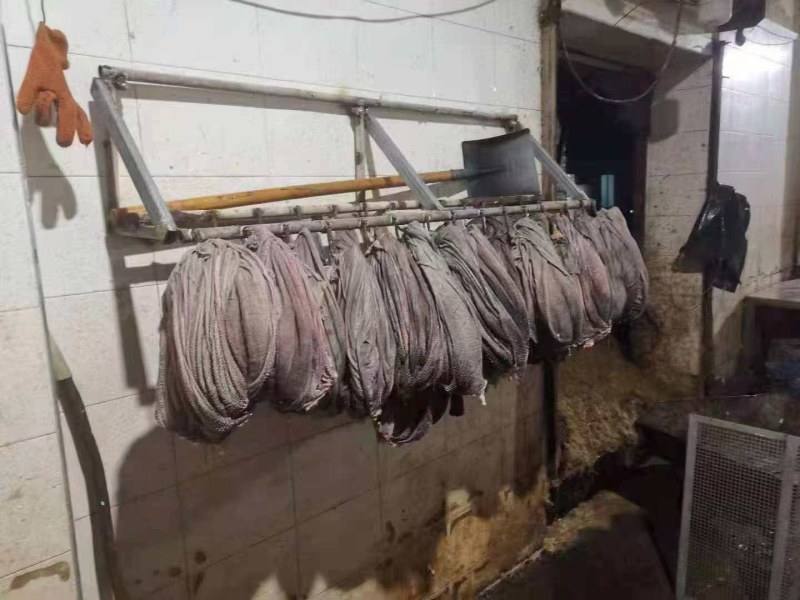牛百叶火锅食材鲜毛肚纯手工撕鲜毛肚叶片