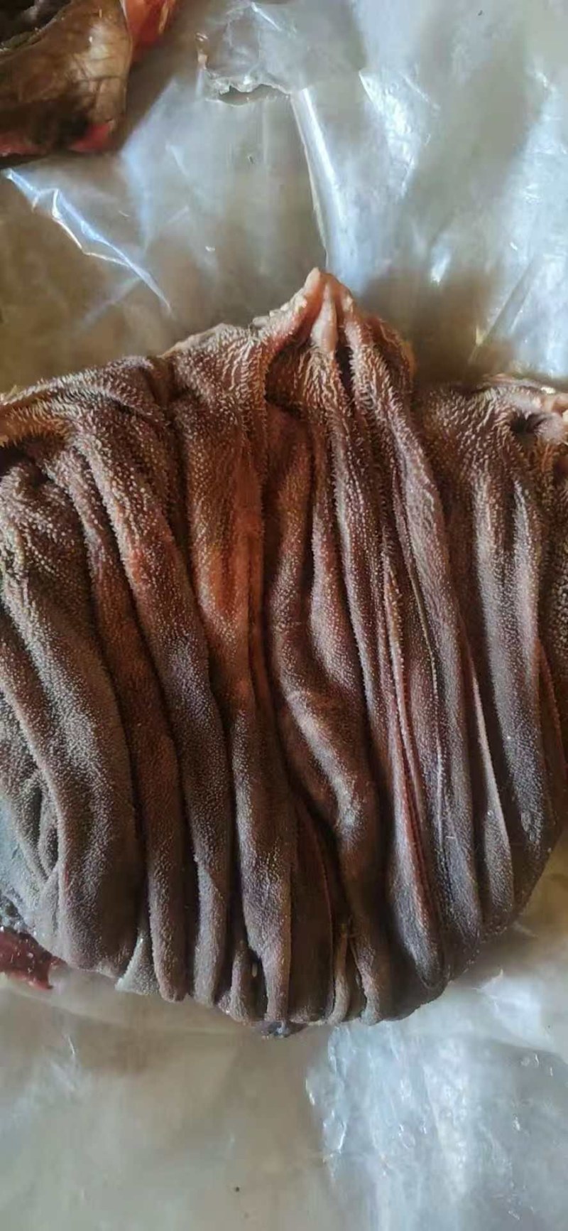 牛百叶火锅食材鲜毛肚纯手工撕鲜毛肚叶片