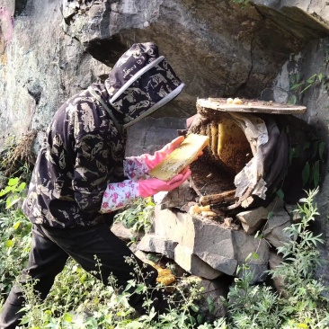 蜂蜜