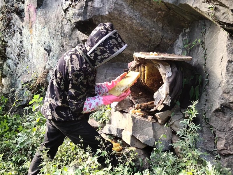 蜂蜜